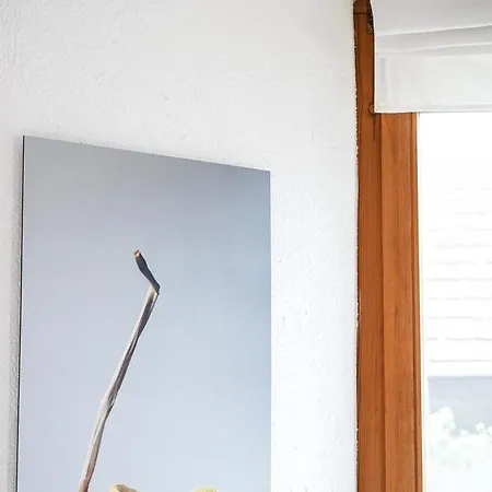 Design Seoul Daire